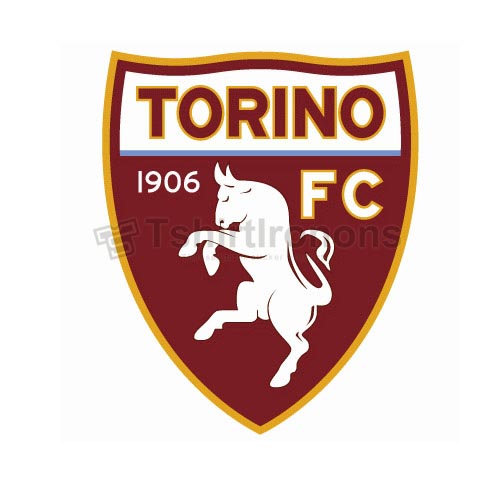 Torino FC T-shirts Iron On Transfers N3378